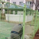 해동상운 이미지