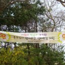 사랑과믿음유치원 이미지