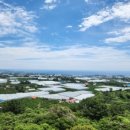 (주)승진조경 정책브리핑