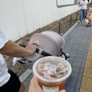 서울숲 숲속놀이터 화장실 | 서울숲 주말 주차 꿀팁, 아기랑 놀거리 숲속놀이터 후기