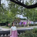 모시래2길 28-1, (단월동) | 충주여행 코스 추천! 충주박물관·국보7층석탑 구경하고 현지인맛집 함지박에서 모듬한상 B