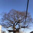 진주 동산리 동안 이미지