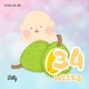 청진동불백 | 임신 34주, 하트일기 / 막달검사, 한달이나 큰 아기