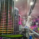 김주희농장 이미지