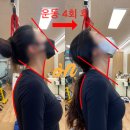 온스바디 이미지