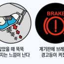 바른카센타 이미지