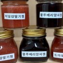 합천블루베리