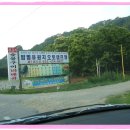 모곡길 Daum카페