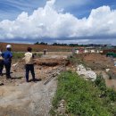 평택-안중-안중-13 이미지