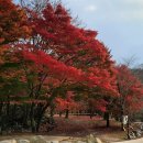 청해요 이미지