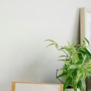 세라젬의료기 이미지