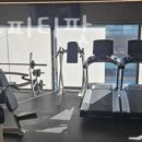 하이앤드 피티팟 이미지