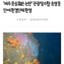 ‘제주 문섬 훼손 논란’ 관광잠수함 운영 중단에 환경단체 환영 이미지