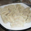 본토반점 이미지