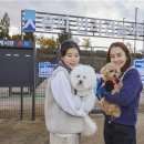 송파 반려견 놀이터 이미지