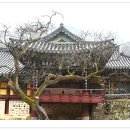 송광사 이미지