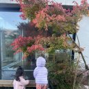 청도 림 이미지