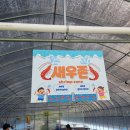 [칠곡여행]주말 아이와 가볼만한곳 추천 / 새우체험장 후기