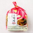 예소담 이미지