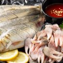 치산관광지 캠핑장 이미지