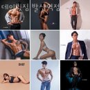 데이빗짐 이미지