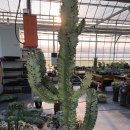 승의농장 이미지