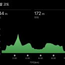 단양공설운동장 | 2026 단양달빛레이스 10km 참가 후기｜단양 마라톤 코스·기록·완주 후기