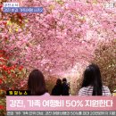 강진-50 이미지