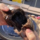 미엘동물병원 | 25년 11월의 자투리