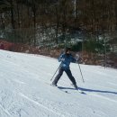 대마초등학교 이미지