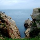 하나의선택 이미지