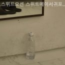 스위트오션스위트메이서귀포호텔 네이버블로그