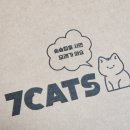 냥이파파 | 진짜 먼지없는 벤토나이트 고양이모래 추천 칠냥이네 7CATS 싸냥 숨숨집 패키지 후기