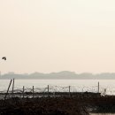천년숲서로(서) 이미지