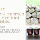 밥찌김밥 이미지
