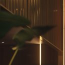 탱글성형외과의원 | 탱글성형외과 복부거상술만의 위험 줄이는 방법