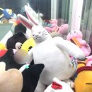 토끼게임장 이미지