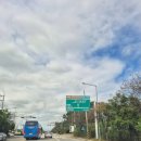 도라산농장 이미지