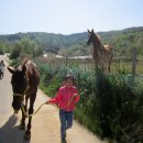 속사초등학교 이미지