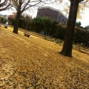 칠서초등학교이령분교장 이미지