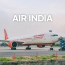 313 | 에어인디아 인천 뉴델리 인도 여행 항공권 AI313 좌석 기내식 후기