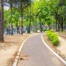 매호근린공원 이미지