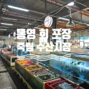 대패생각 통영죽림점 | 통영 회 포장하기 좋은 죽림수산시장 에서 봄 도다리 줄돔 내돈내산