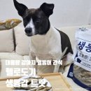 도하기업(주) | 강아지 열빙어 간식 대용량 헬로도기 생동감 트릿 2번째 구매 후기