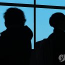 제주로국제여행사 이미지