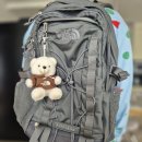 일렉트론 | 노스페이스 일렉트론 ELECTRON 그레이 백팩 후기 (중학생 아들 등교가방)