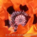 밝은마음정신건강의학과 이미지