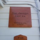 스테이청포 이미지