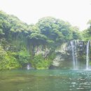 양념나라 이미지