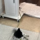 둘리인형뽑기방 이미지